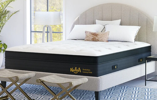 Nolah Evolution Mattress